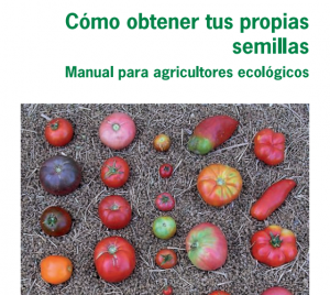 imagen Cómo obtener tus propias semillas