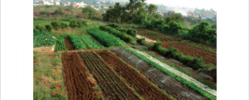 Carátula Infomre Técnico Planificación de cultivos hotícolas (ecodivulta septiembre 2021)(1) Carátula Infomre Técnico Planificación de cultivos hotícolas (ecodivulta septiembre 2021)(1)