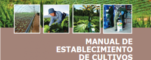 Manual de establecicimiento de cultivos (ecodivulga agosto)